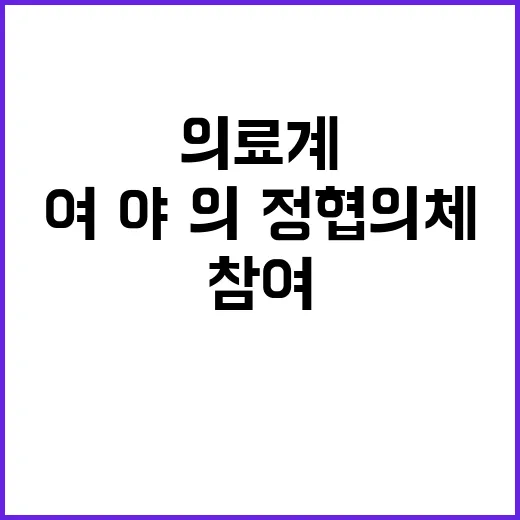 의료계 정부 여·야…