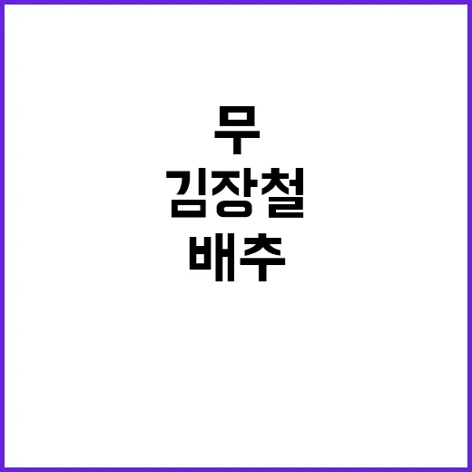 김장철 수급 배추·…