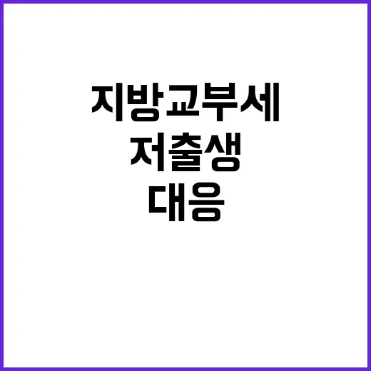 지방교부세 저출생 …