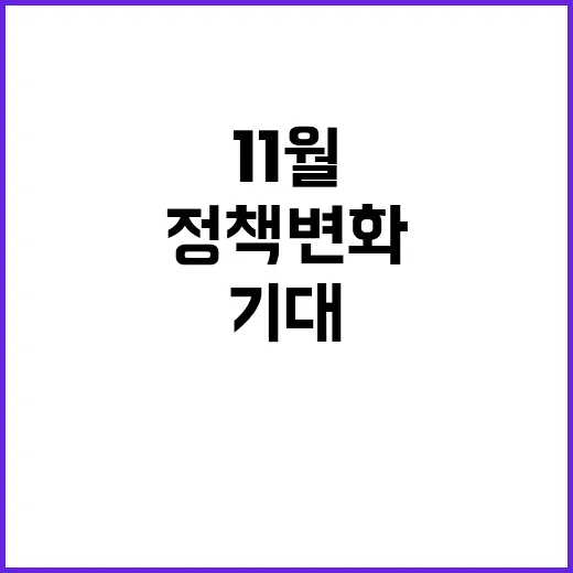 11월 새로운 정책 변화가 기대된다!