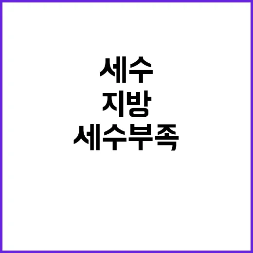 세수부족 사실 지방…