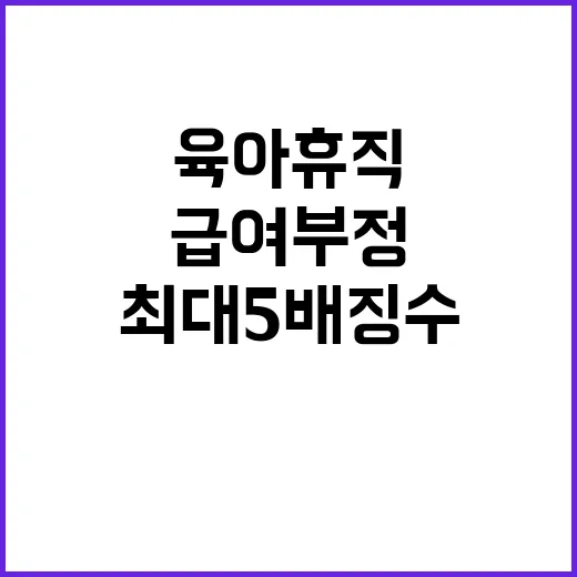 육아휴직급여 부정수…