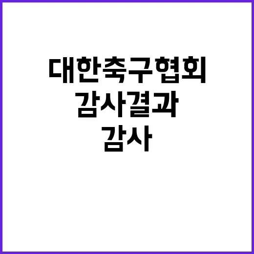 감사 결과 대한축구…