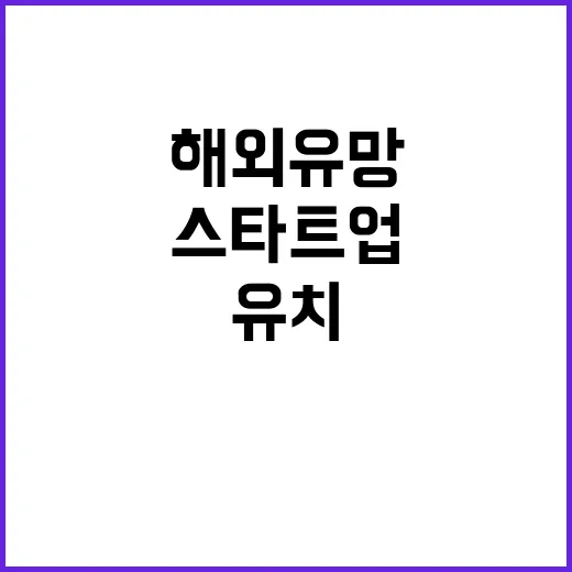 스타트업 코리아 특…