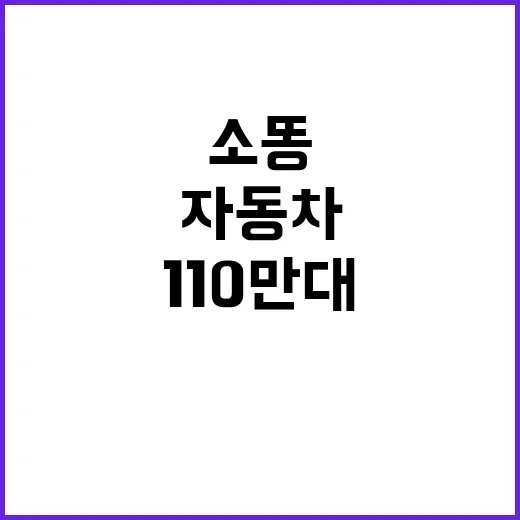 소똥 110만대 자…