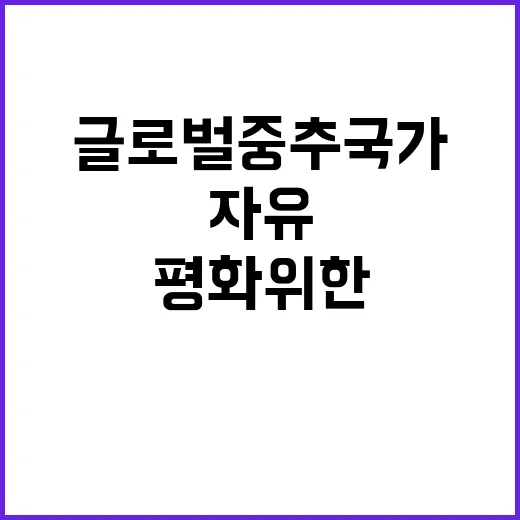 ‘글로벌 중추국가’…