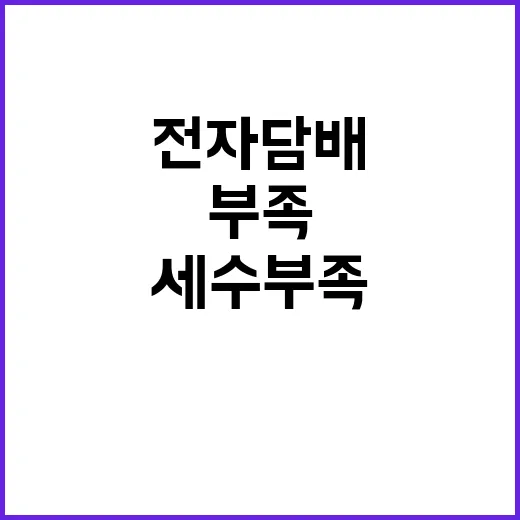 “세수부족” 전자담…