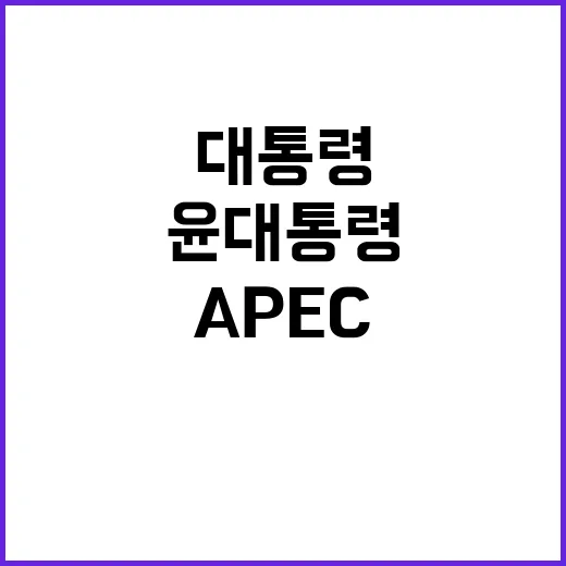 APEC 윤 대통령의 혁신과 번영 협력 방향 발표!