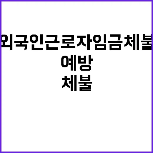 외국인근로자 임금체…