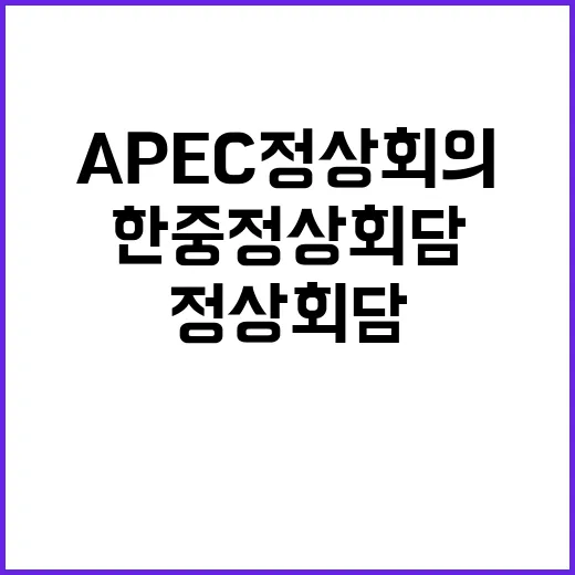 한중 정상회담 AP…