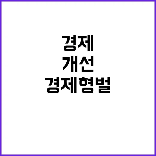 경제형벌 개선과제 …