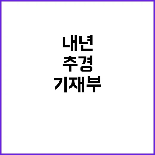 내년 추경예산 기재부의 놀라운 사실 공개!