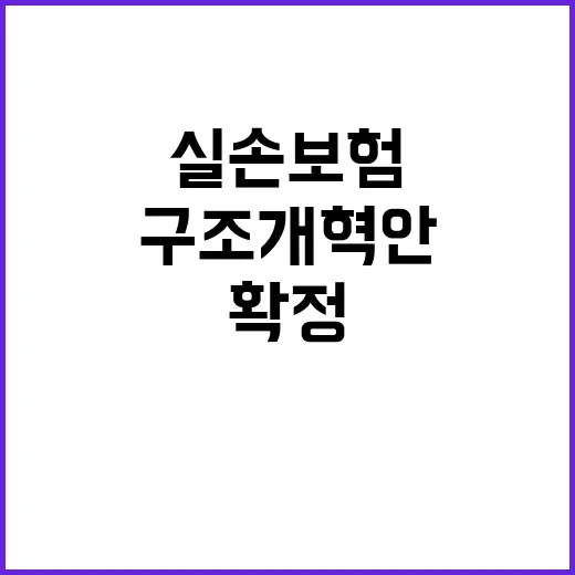 실손보험 구조 개혁…