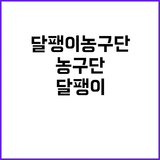 달팽이 농구단