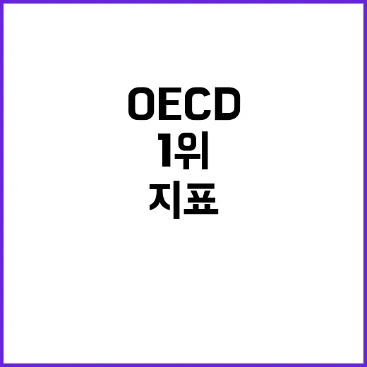 OECD 1위 한국…