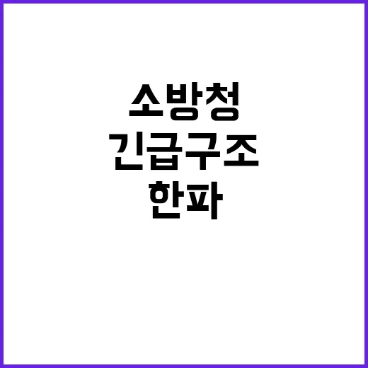 대설·한파 소방청 긴급구조 대응 태세 공개!