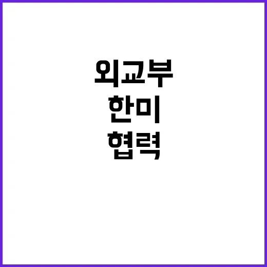 한미동맹 외교부의 …