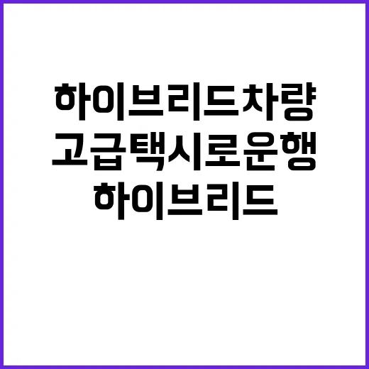 하이브리드 차량 고…