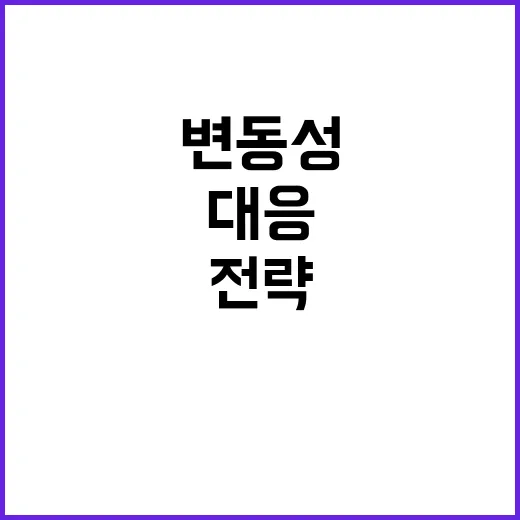 유동성 정부의 과도한 변동성 대응 전략 공개!