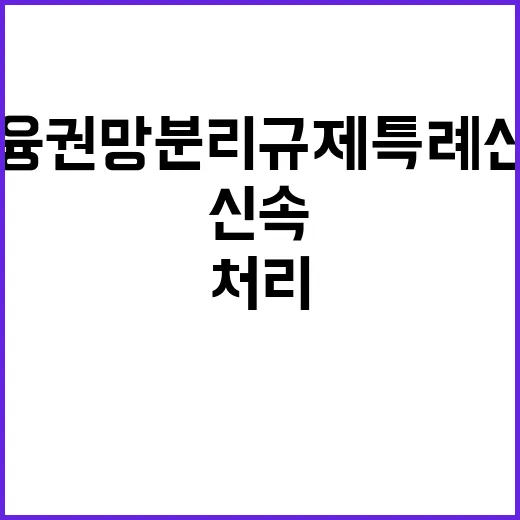 금융위 금융권 망분리 규제 특례 신청 신속 처리!