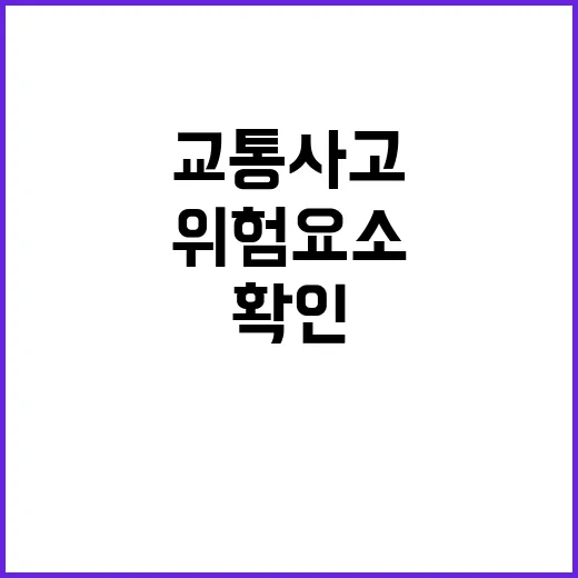 교통사고 절반 12…