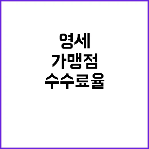 영세가맹점 카드 수…