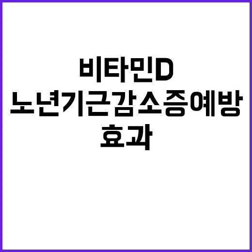 비타민D 노년기 근감소증 예방 효과 확인!