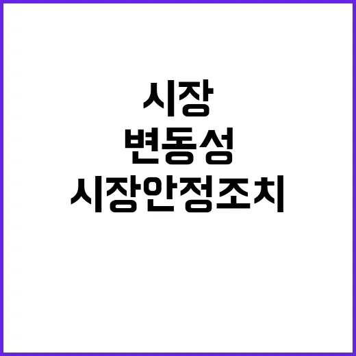 금융 변동성 추가 시장안정조치 신속 시행 예고!