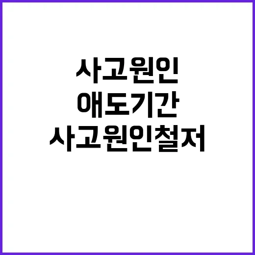 사고 원인 철저조사 애도기간 연장 소식