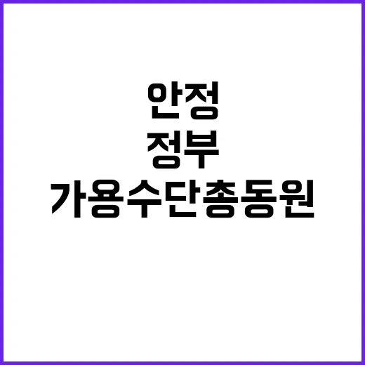 금융 안정 정부의 …