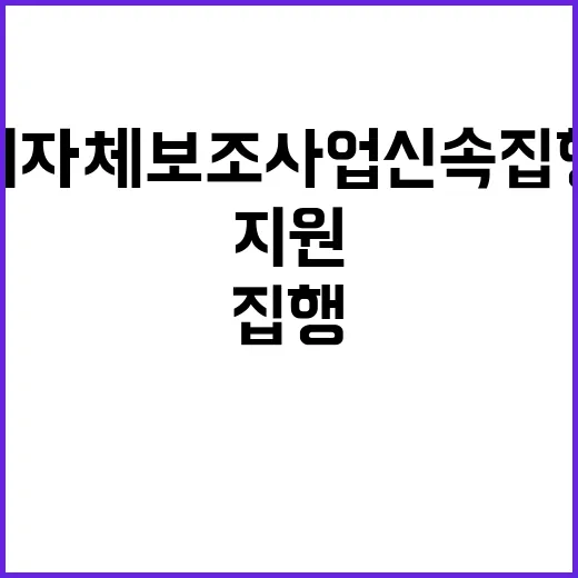 지원 지자체 보조사업 신속집행으로 자율성 강화!