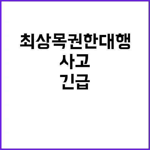 사고원인 규명 최상목 권한대행의 긴급 발언!