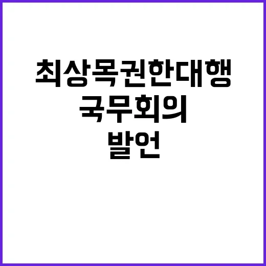 국무회의 최상목 권한대행 발언 핵심 내용 공개!