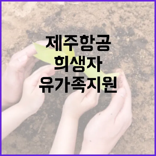 제주항공 희생자 유…