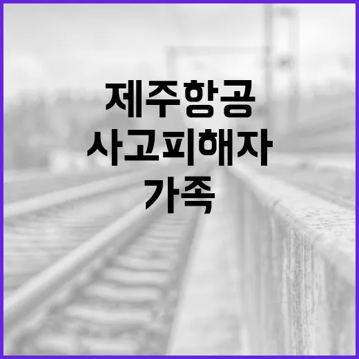 제주항공 사고 피해…