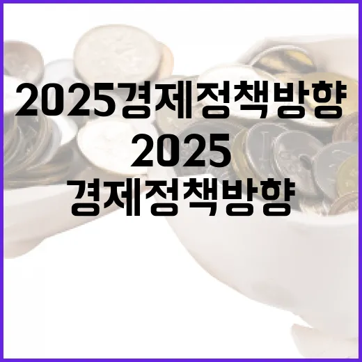 2025 경제정책방…