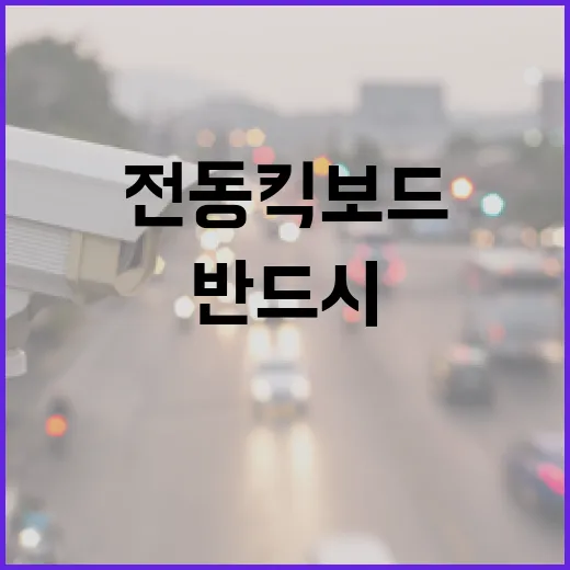 전동킥보드 안전 반…