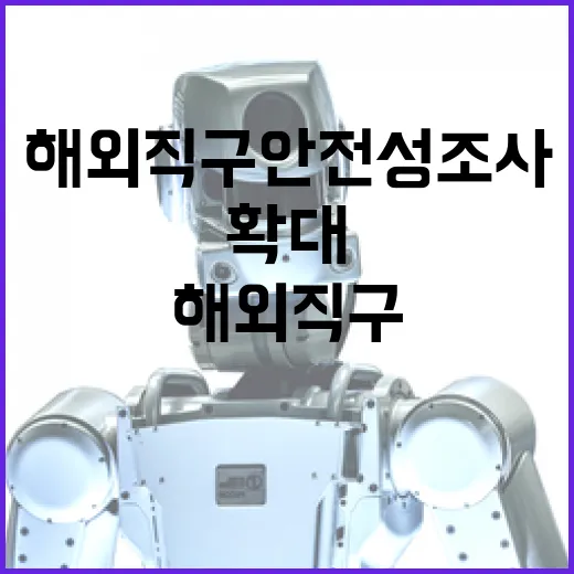 해외직구 안전성조사 1000여개로 대폭 확대!