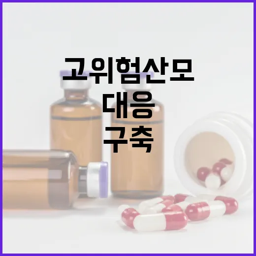 비상응급의료 설 연휴 고위험 산모 대응 체계 구축!