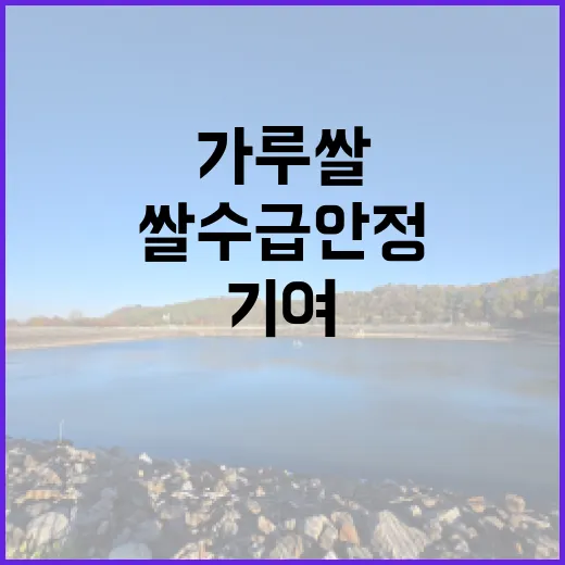 가루쌀 쌀 수급안정 기여 사실 공개!