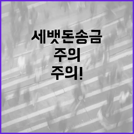 세뱃돈 송금 주의! 무심코 클릭하면 큰 피해.