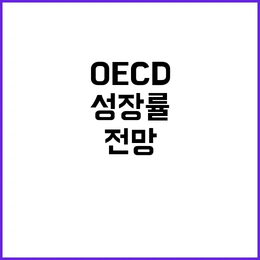 OECD 한국 경제 성장률 2.5%로 안정적 전망!