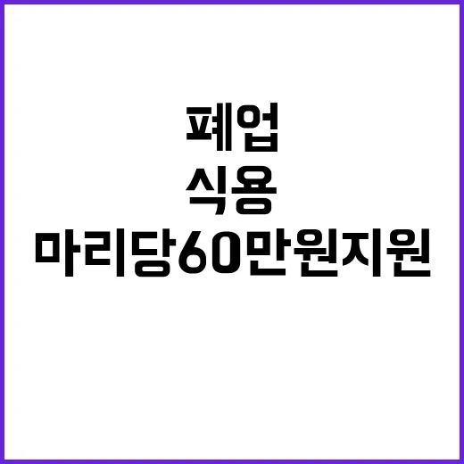 식용 개 사육 폐업…