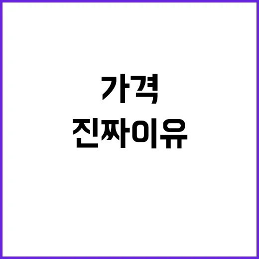 김 가격 안정화 해…