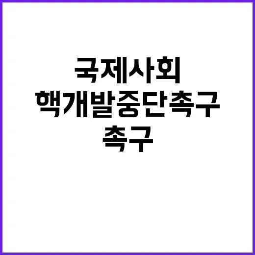 국제사회 북 핵개발…