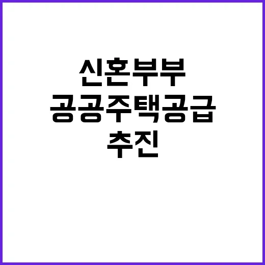 신혼부부 공공주택 …