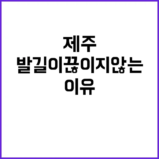 휴양지 제주 세계인…