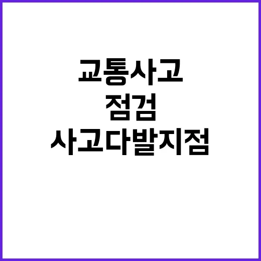 어린이·노인 교통사…