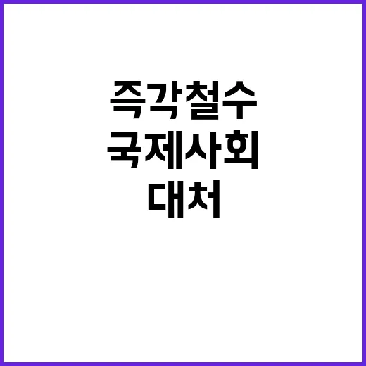 정부의 즉각 철수 …