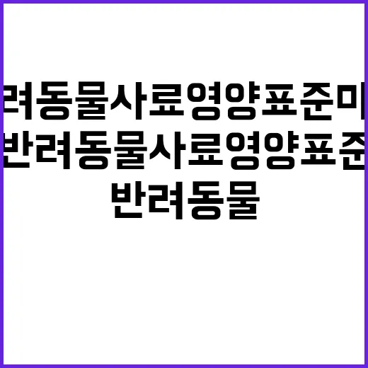 반려동물 사료 영양…